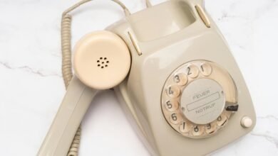 hotline number 3533085520