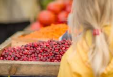 How Seasonal Availability Affects the Price & Quality of Dried Cranberries