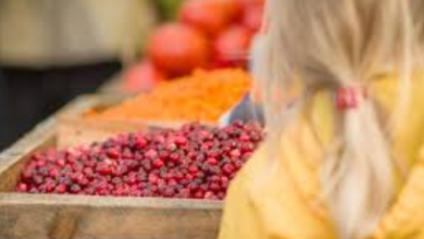 How Seasonal Availability Affects the Price & Quality of Dried Cranberries