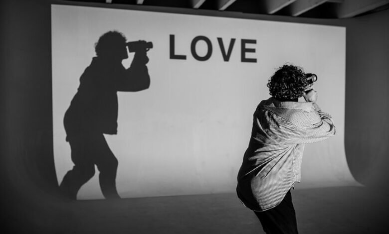 lobasincensura profile summary