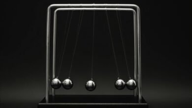 brand authority and momentum