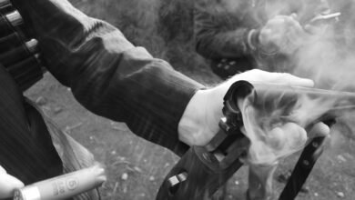 business growth and expansion