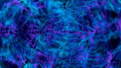 digital flux seo analysis