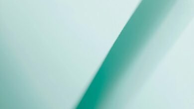 digital line vector online