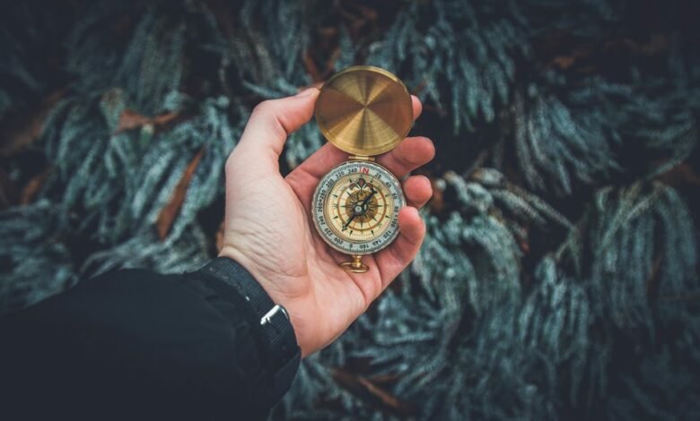 growth compass for expansion