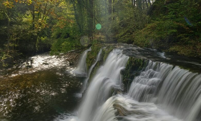 market growth analysis tool