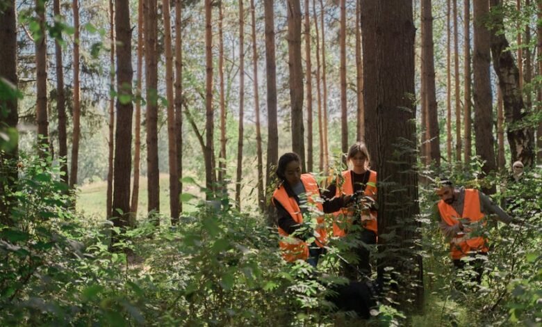 search momentum for visibility