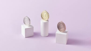 seo ranking elevation lift