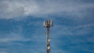 signal boost web impact