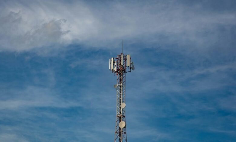 signal boost web impact