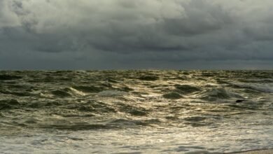 traffic wave surge online