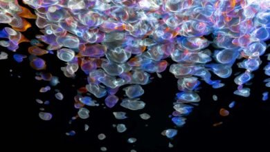 apex beam fusion flow