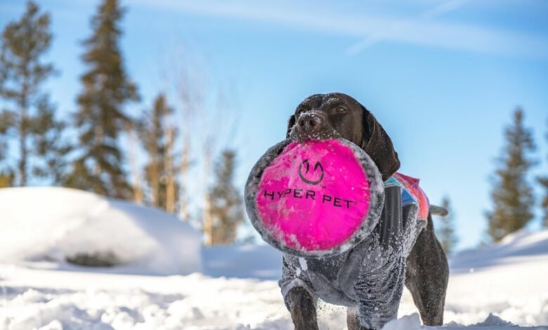 hyper circuit stellar nexus