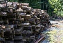 registry logs and tracking